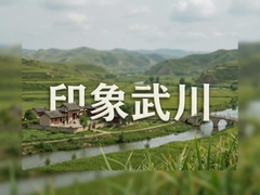 ӡ���䴨��ԭ�Լ��ι��Ա�ȥ�����Ƽ�