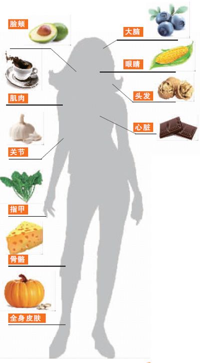 长寿美 健康饮食 抗衰老食谱