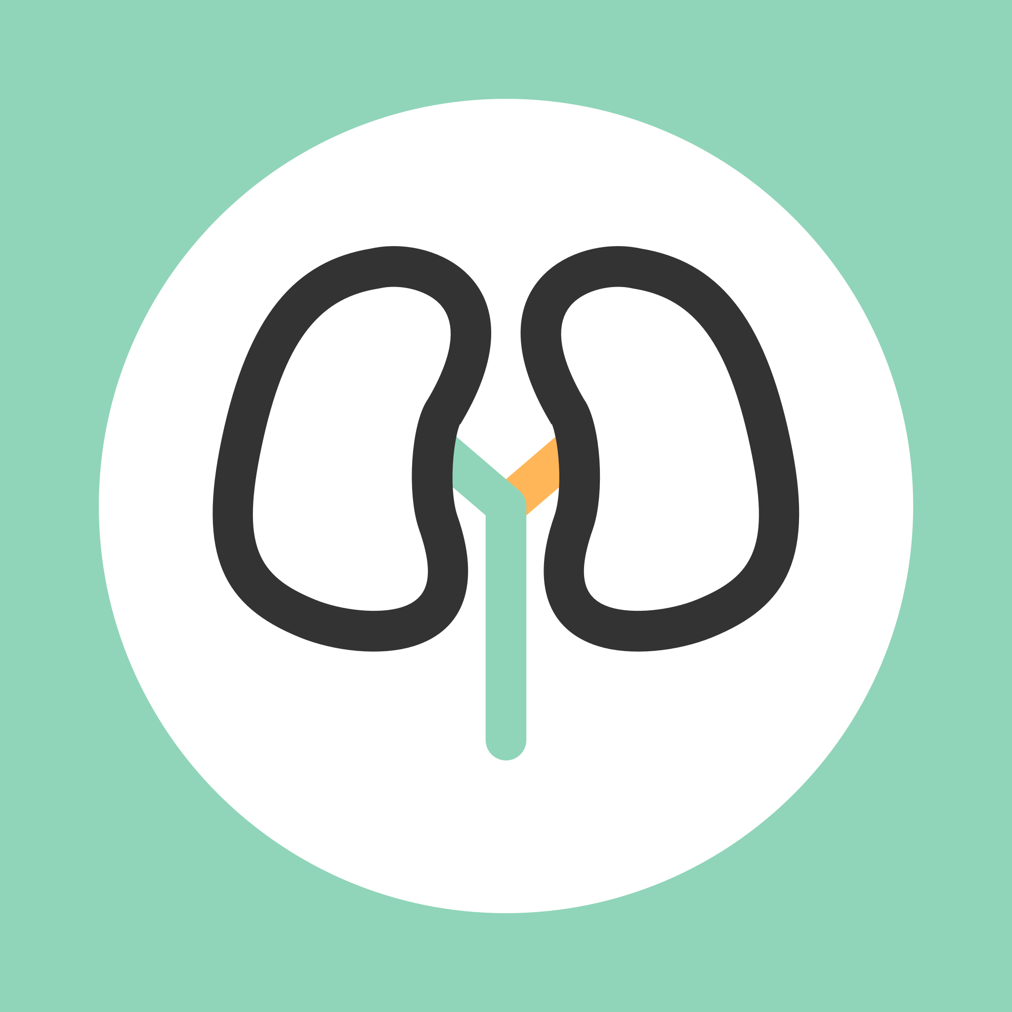 ���Խ���appv3.4.3 ��׿��
