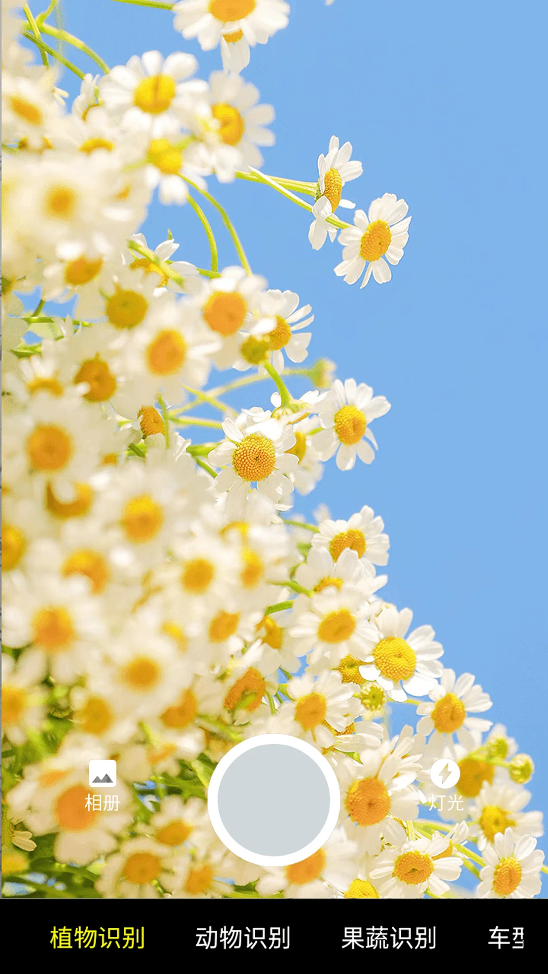 ����ɨһɨappv3.1.5.3 ��׿��
