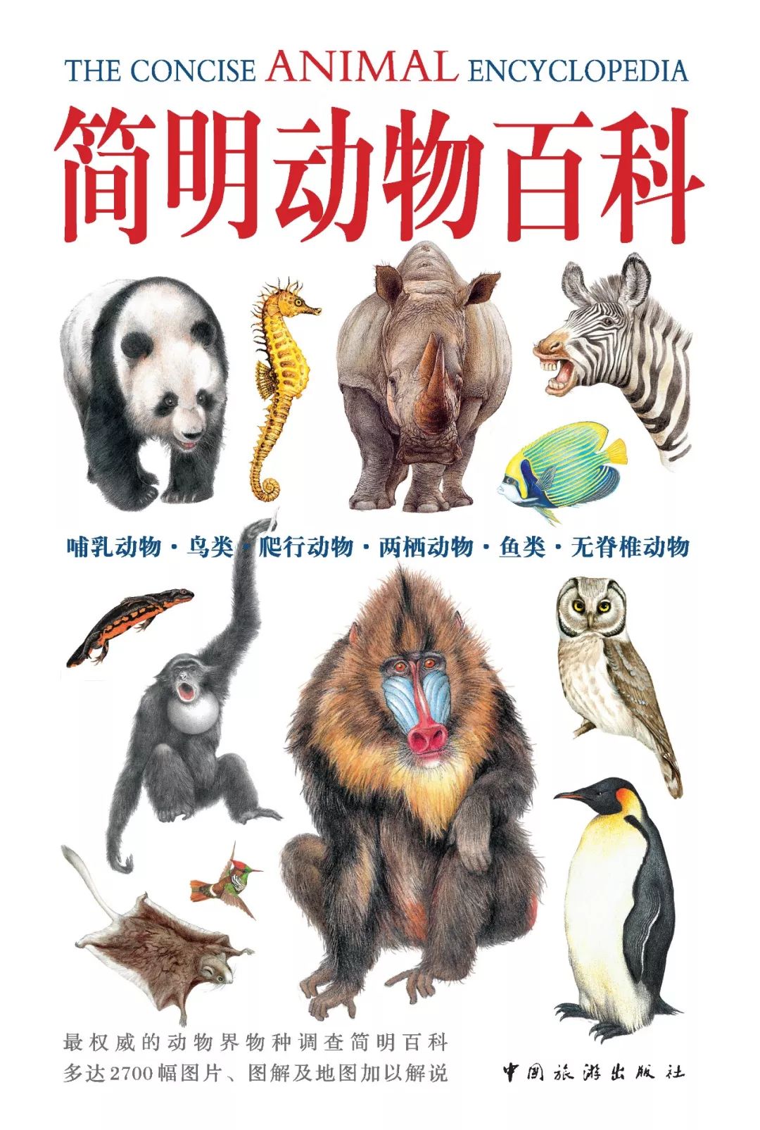 动物百科 自然观察配图 结尾插图
