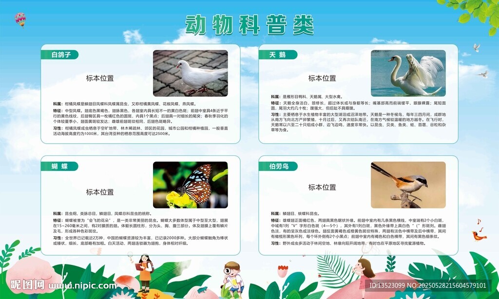 动物百科 鸟类鱼类习性 趣味科普配图