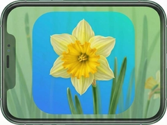 ˮ����Ƶapp���ذ�װ��Ѱ����׷���Ӱ����