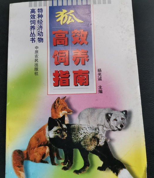 应狐当宠物养 应狐性格实测 应狐体味问题