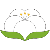ɴ����appv3.0.1 ��׿��