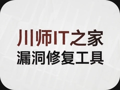 ��ʦIT֮��©���޸�����ʹ�ý̳�