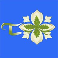 ̦����appv2.0.5 ��׿��