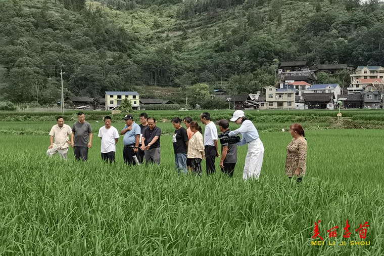 伟农绿色养殖技术助力农户增收致富的实操场景与养殖环境