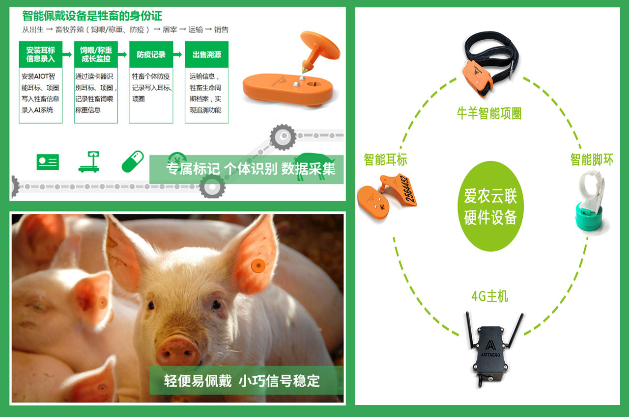 牲畜耳标管理app下载 官方入口及安装流程 养殖场耳标管理软件操作界面