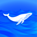DeepNorth appv1.0.40 ��׿��