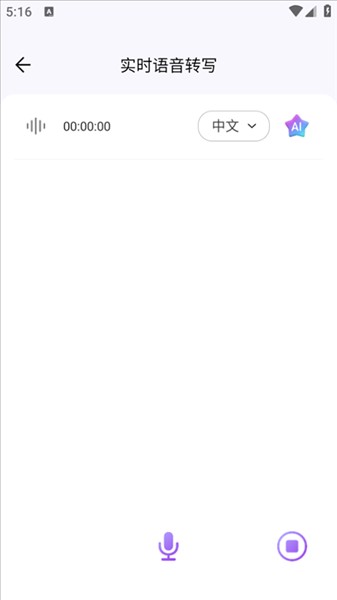ViiTor实时翻译软件 手机端同声传译操作与适用人群场景