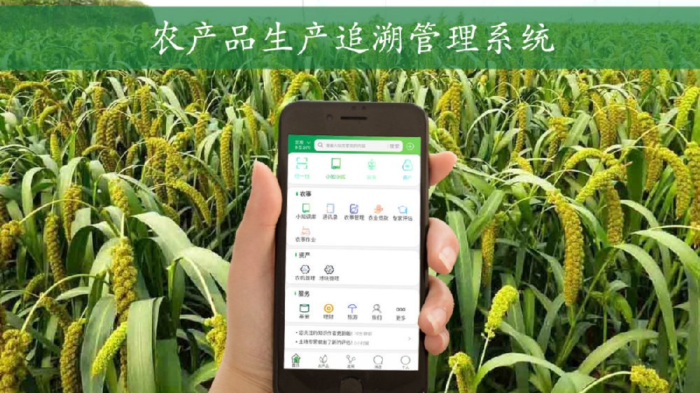 绿农app购买正宗绿色农产品全流程使用经验分享配图