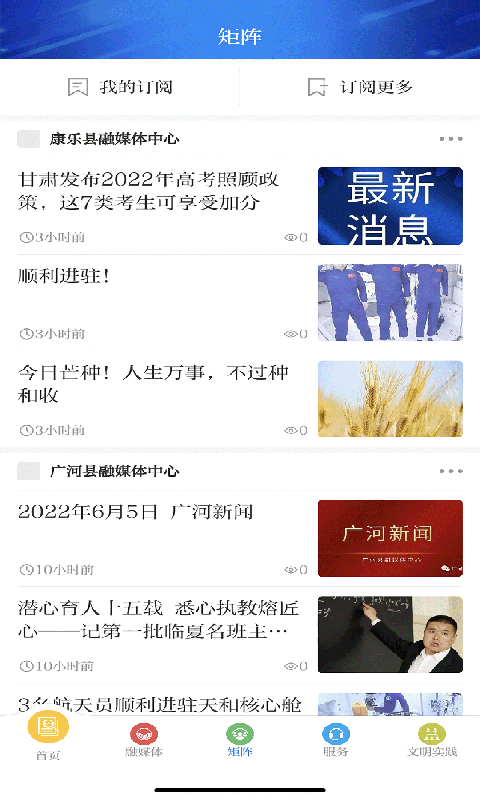新临夏app苹果手机App Store搜索下载界面