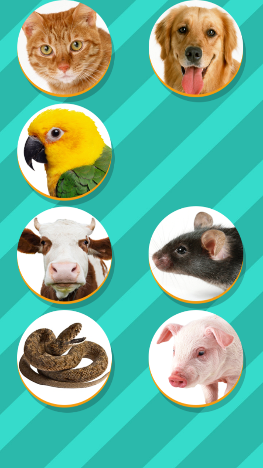 鸟语翻译器app最新版下载(Pet Translator) 手机录音翻译宠物叫声界面 官方版下载安装