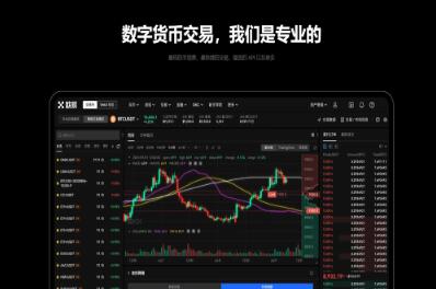 欧一交易所官方下载最新版下载安装 安装报错与解决实拍
