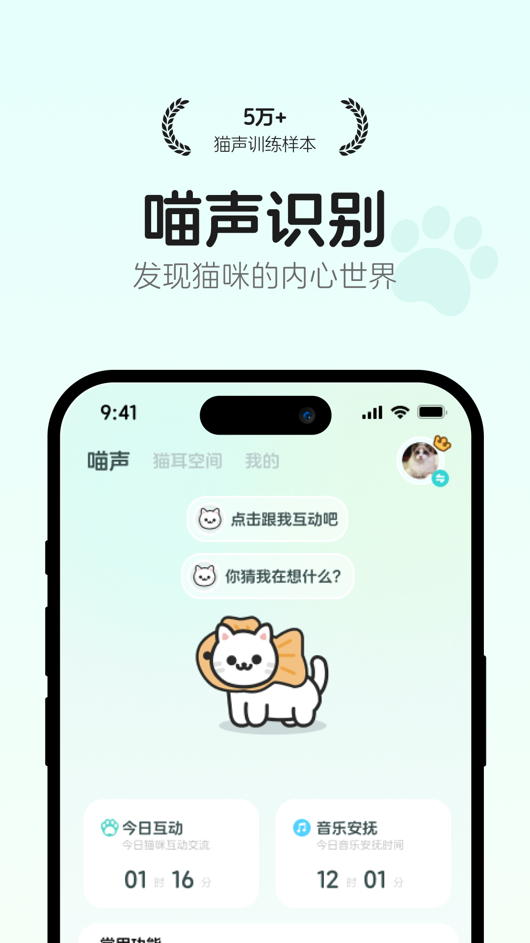 猫语翻译空间 新手养猫实测体验 猫咪翻译器使用场景配图