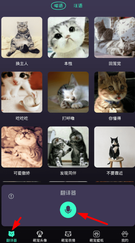 猫语翻译空间 猫咪情绪翻译功能界面 猫叫录音识别配图