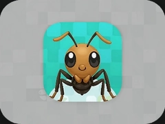 �����г�app�����������°氲װָ��
