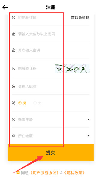 t-family软件完整使用教程与功能界面概览