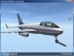 ģ�����2004 FS2004�������İ�����