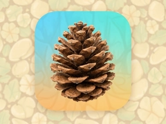 �ɹ�ʱ��app��ô�òŲ��ȿ�