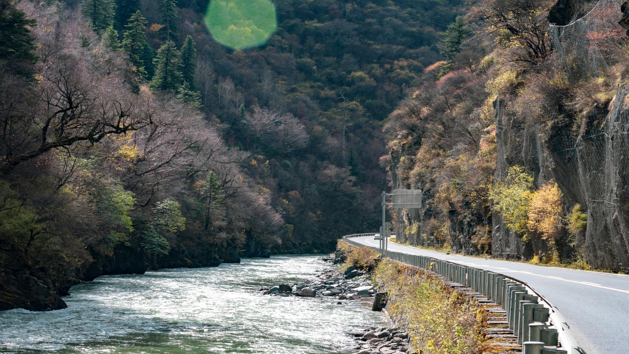 醉美马尔康梭磨河峡谷秋季红叶层林尽染