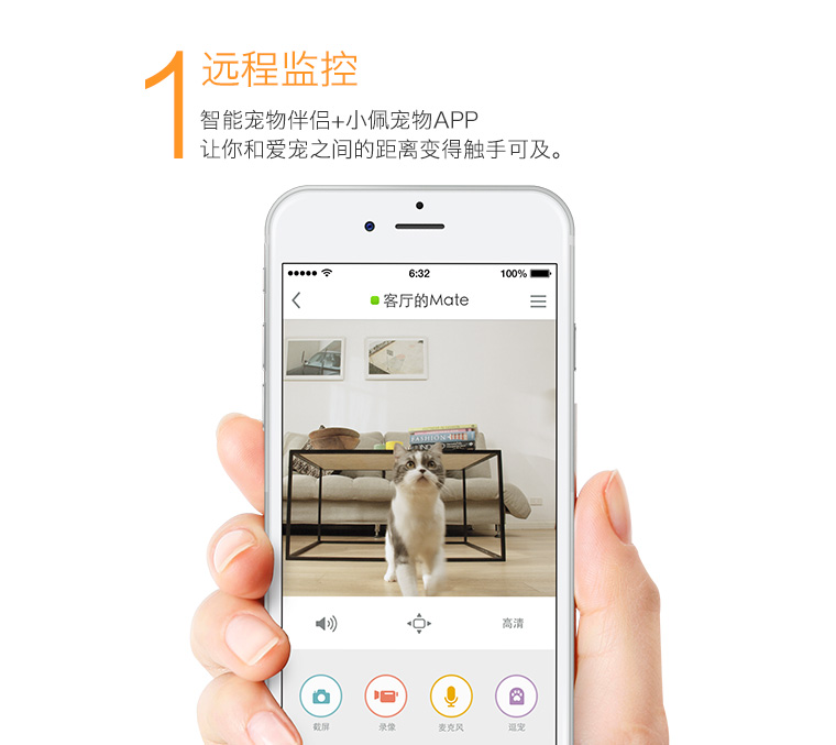 petCompanionR app 宠物伴侣应用 手机界面功能展示图