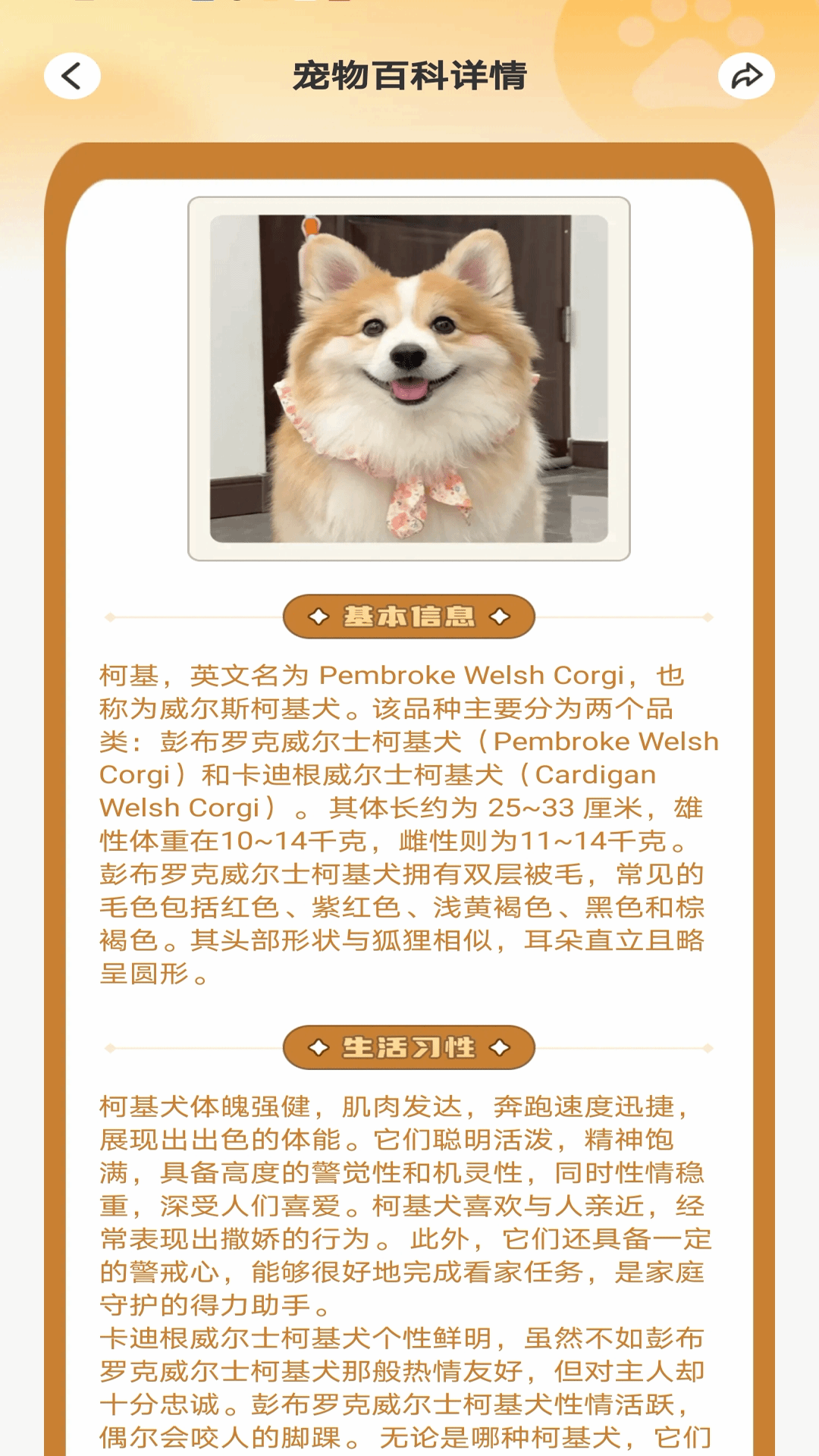 petCompanionR app 添加宠物档案 品种识别界面截图