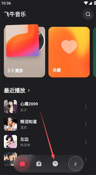 飞牛音乐