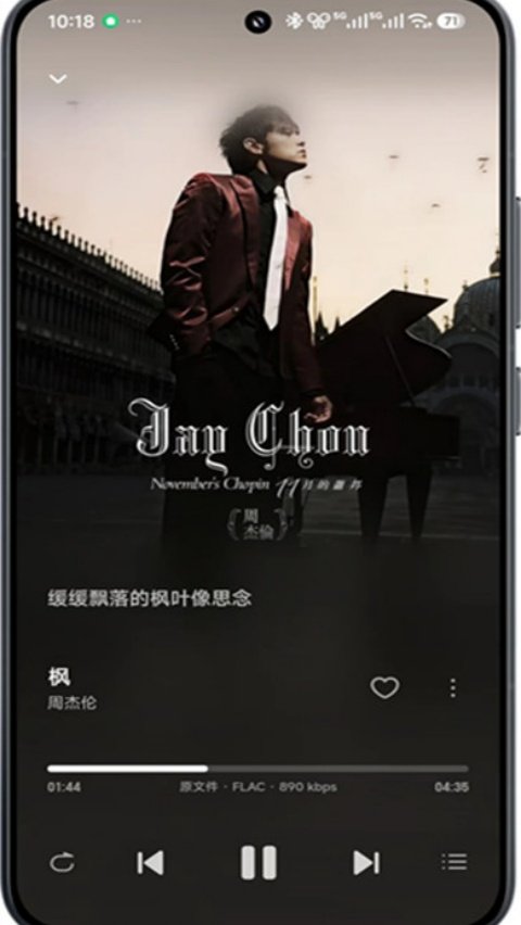 飞牛音乐app安卓v1.0.0 最新版