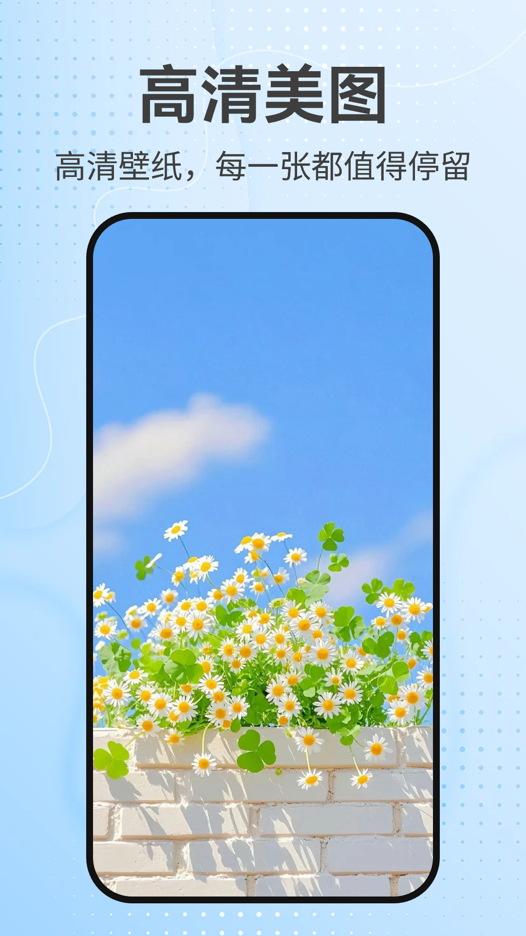 Ԫ����̬��ֽ�ֻ���v1.0.0 ��׿��