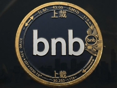 bnb�ҽ���ƽ̨���İ�����ָ��