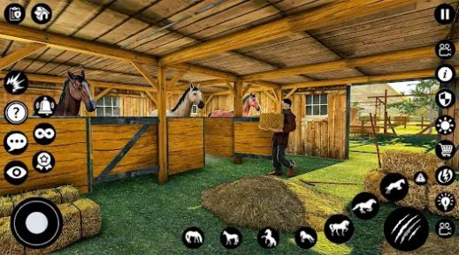 马厩生活模拟器游戏(Stable Horse Life Simulator) 养马日常操作界面截图