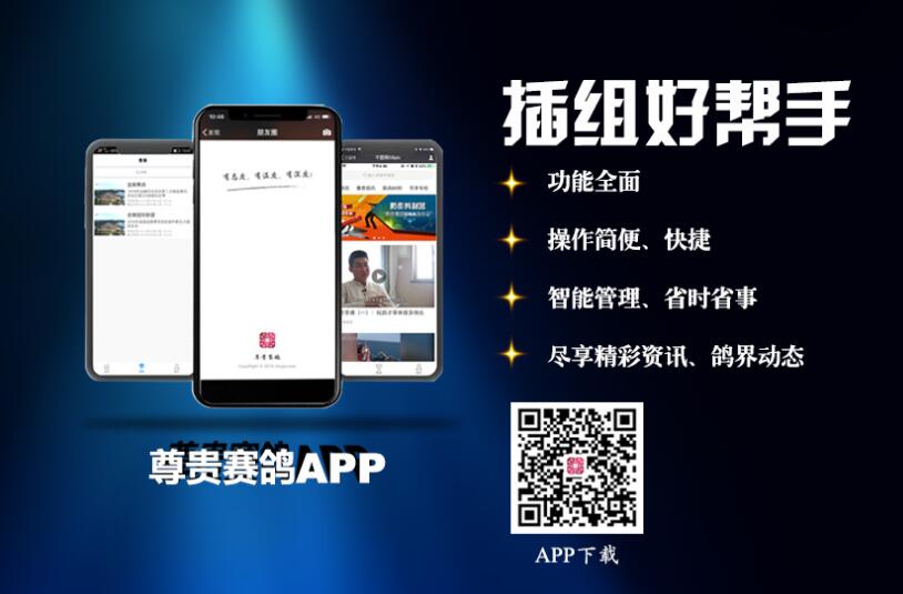 必胜鸽app实际使用体验功能界面展示