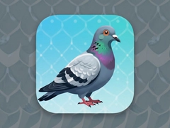 ��ʤ��app���ذ�װ�̳̼�ʹ���������