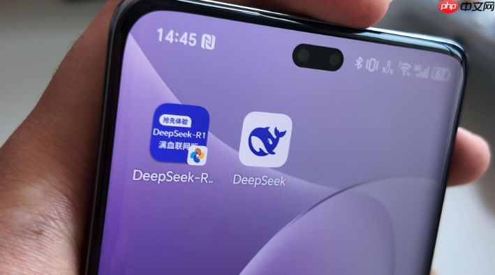 deepseek�ٷ�������Ѱ� ȫ���̰�װ�̳���ͼ �ֻ�����ͨ��