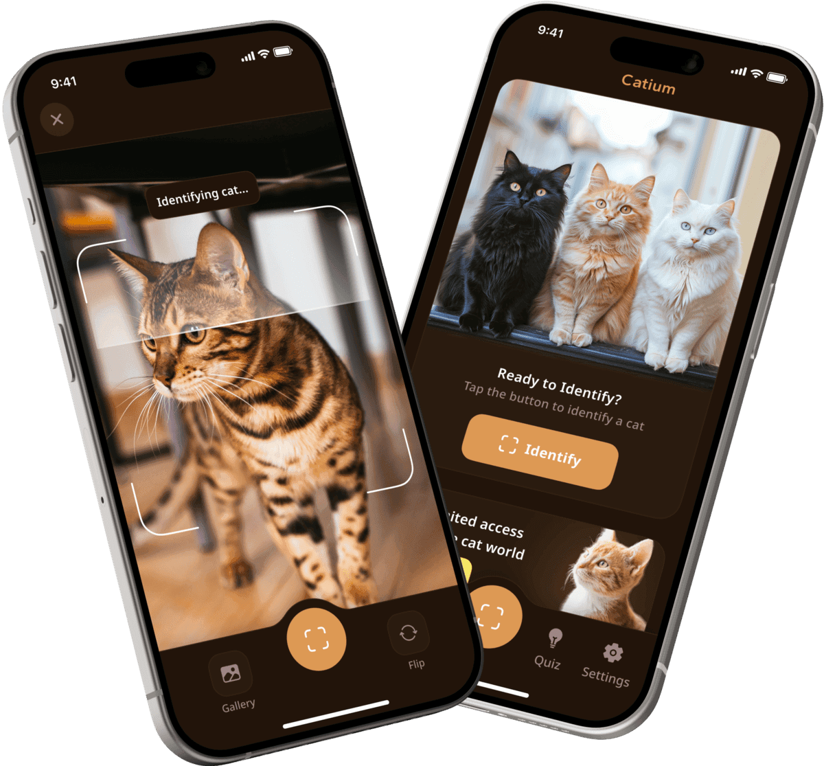 Cat Stylist app 注册登录界面 选择猫咪品种脸型操作截图