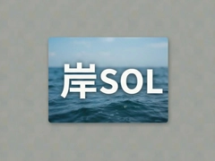 �Ȱ�SOL��������������Ͷ��ǰ������