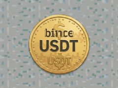 Binnceƽ̨USDTʵʱ�۸��ѯ��������