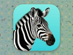 ��������app��ô����ʵ����