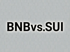 BNB��SUI˭��ֵ��Ͷ�ʶԱȷ���