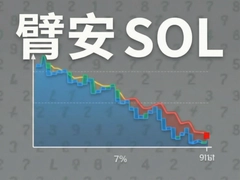 �۰�SOL���������������