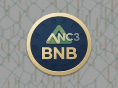 �Ұ�BNB��������������Ͷ�ʼ�ֵ����