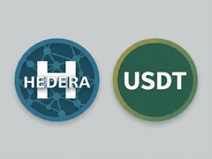 Hedera����USDTת�˽̳������������