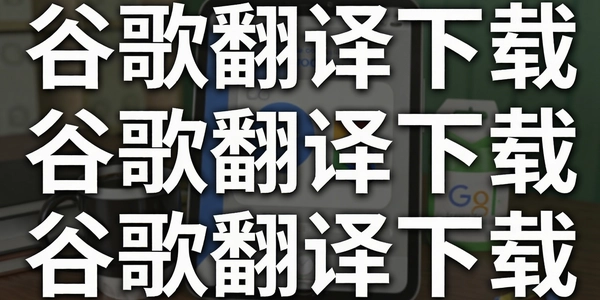 �ȸ跭������