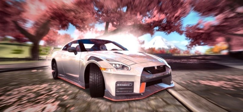 Race Max Pro极限竞速专家v2.17.3 最新版