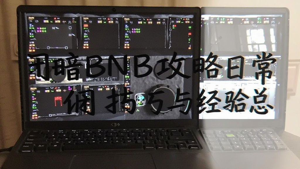 �հ�BNB�����ճ�ʹ�ü����뾭���ܽ���ͼ