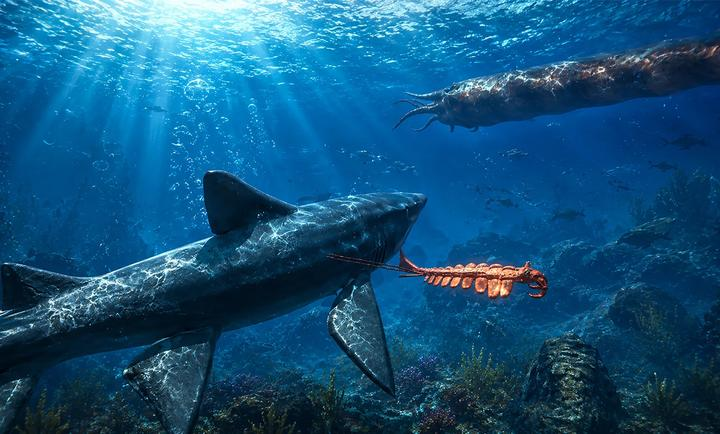 旋齿鲨模拟器游戏(Helicoprion Simulator)v1.3.5 安卓版
