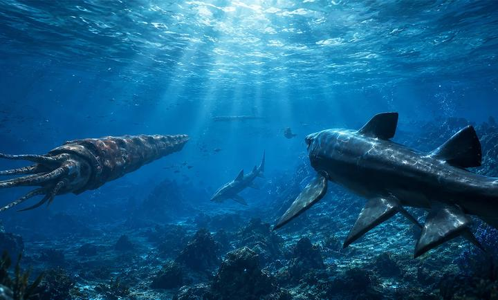 旋齿鲨模拟器游戏(Helicoprion Simulator)v1.3.5 安卓版
