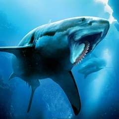 ������ģ������Ϸ(Helicoprion Simulator)v1.3.5 ��׿��